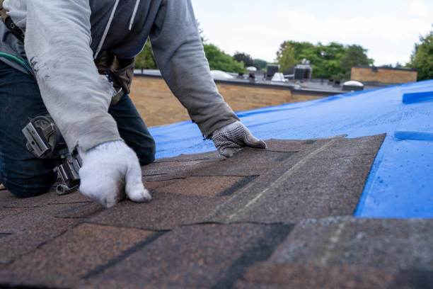 Best Roof Gutter Cleaning  in Cleveland, NC